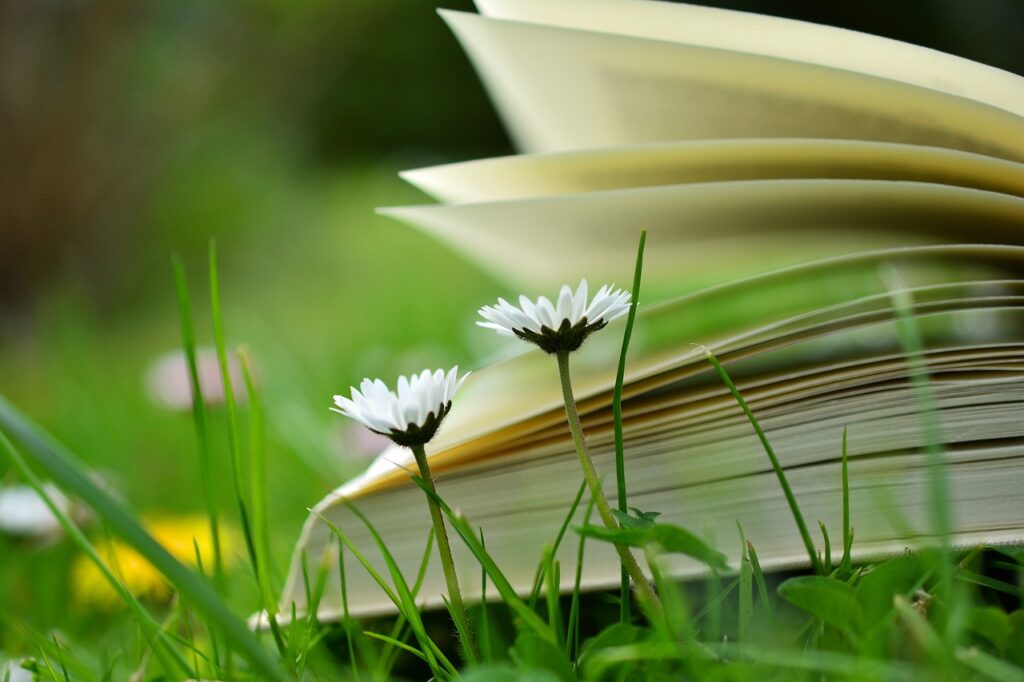 a book, read, relax